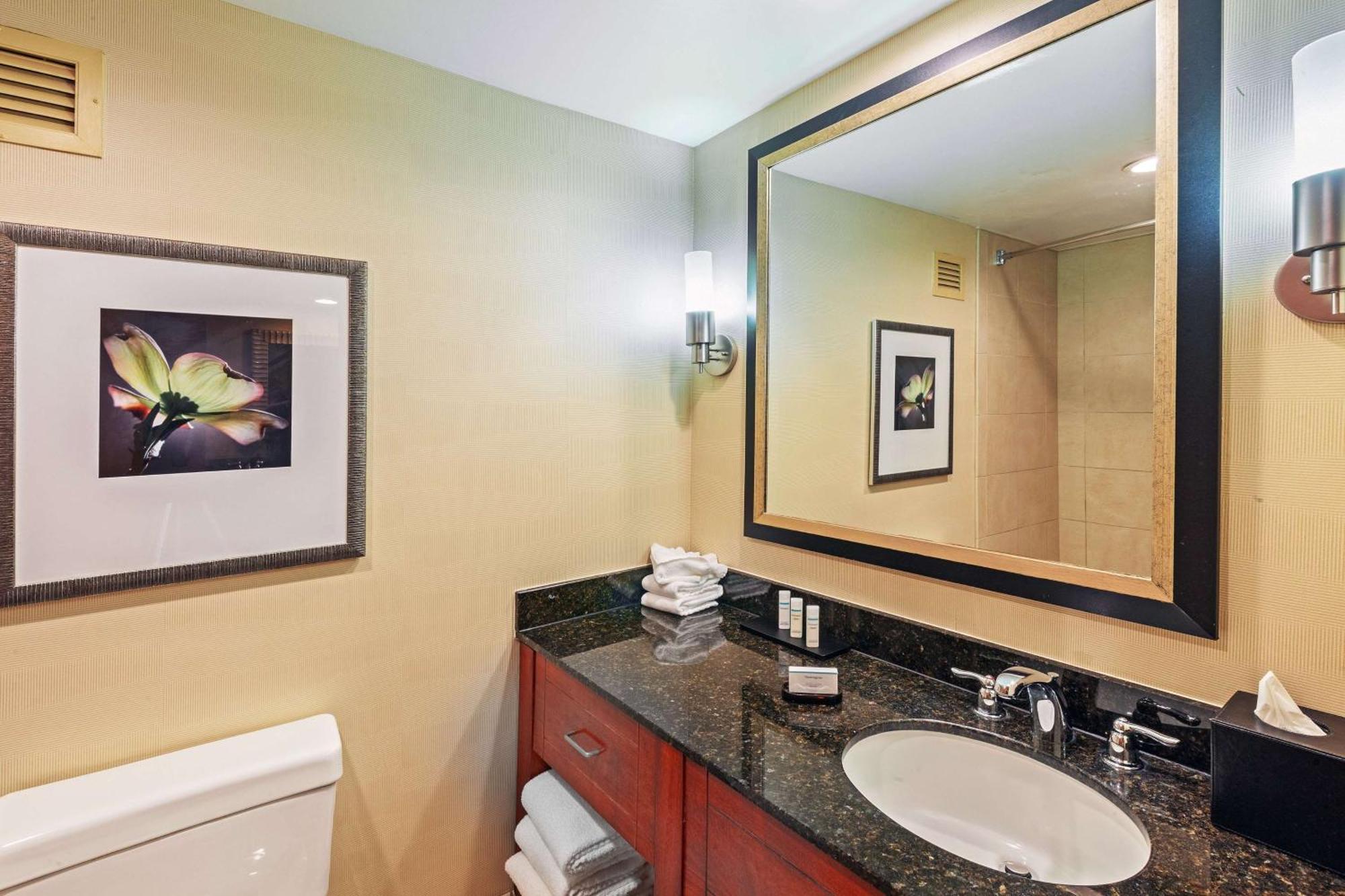 Embassy Suites By Hilton Greensboro Airport Екстер'єр фото